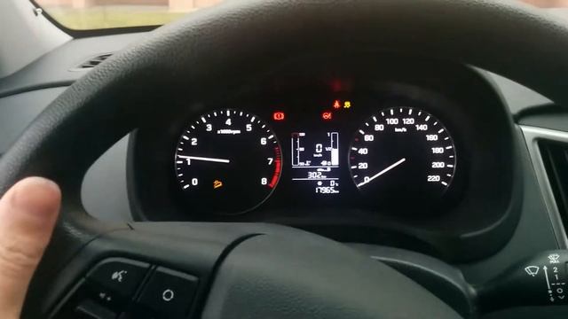 Комнатный художник