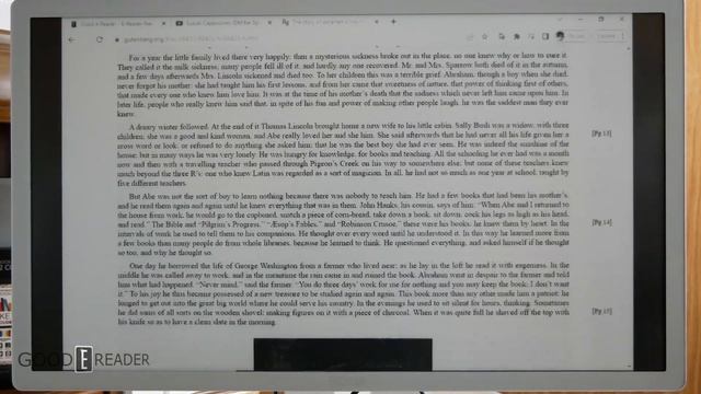 Onyx Boox MIRA PRO 25 Inch EINK Monitor | Review