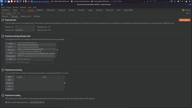 11.11. Bypassing Server-Side Filters - Part 2 смотреть онлайн
