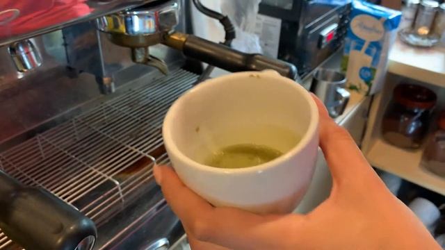 МАТЧА латте. Primo Caffe.