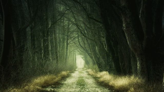 ☮💚💚 Relaxing Piano Music - Beautiful Music for Sleeping, Studying & Relaxation 💚💚☮ смотреть онлайн