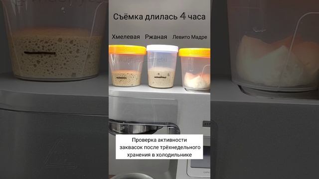 Проверка активности заквасок: хмелевой, ржаной, Левито Мадре смотреть онлайн