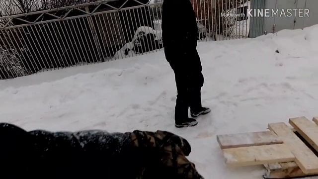 Мотоблок карвер(carver)