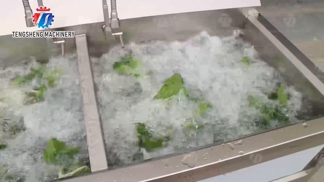 1.1KW Commercial Ozone Multifunctional Vegetable Washing Machine смотреть онлайн