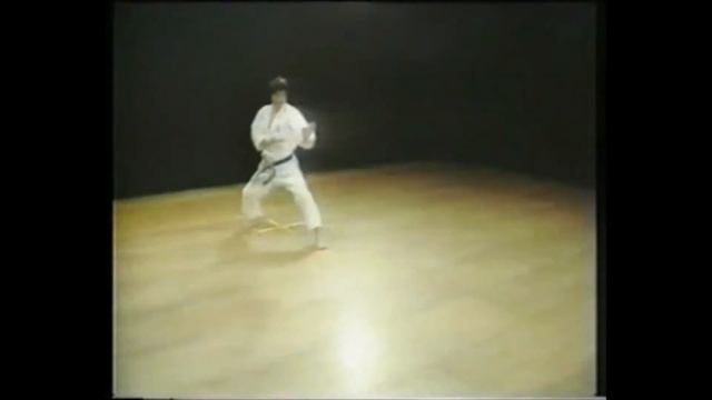 Empi Shotokan Kata смотреть онлайн