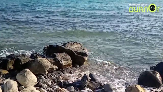 Село Прасковеевка (Видеоблог Евгения Степанова) смотреть онлайн