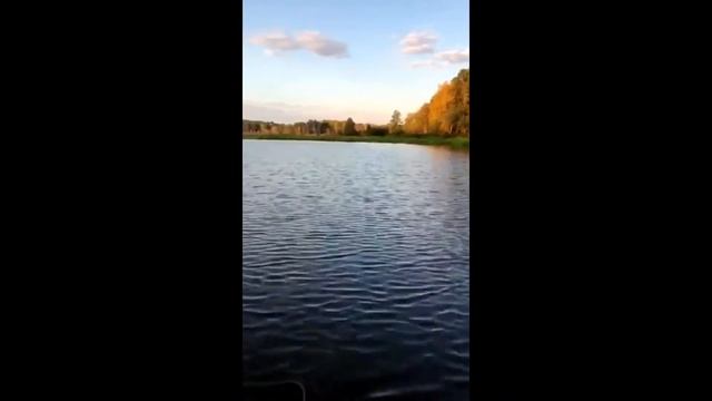 Река Чусовая от Верхне-Макаровского водохранилища до деревни Раскуиха. смотреть онлайн