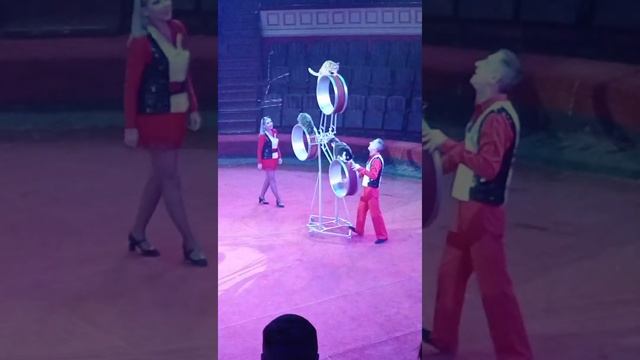 Цирк Одессы 2022/2023 смотреть онлайн