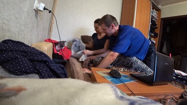 ПРАНК: кошачье ГОВНО в кровати! Говно из шоколада в постели. Съел "какашку". Пранк за пранком. смотреть онлайн