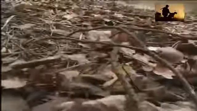 Клевое место Пироговское водохранилище Ловля на поплавочную удочку 2017 HD медведь смотреть онлайн