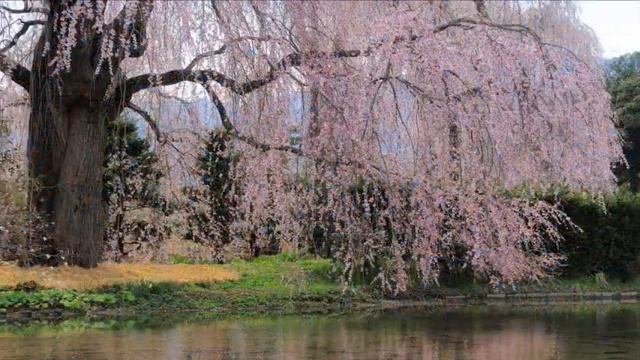 Информационное поле человека. Первые шаги к телепатическому общению.