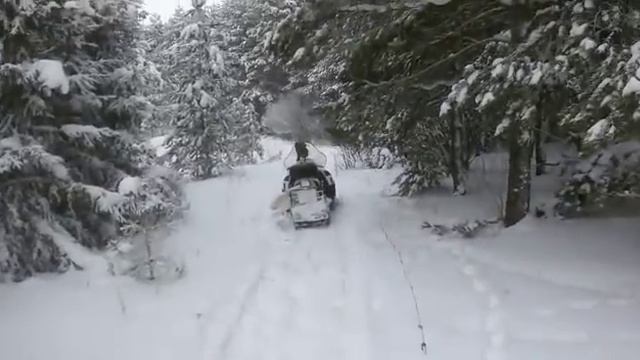 Русская гончая гоняет зайца смотреть онлайн