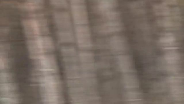 Сухолучье охотничьи угодья яНуковича!Разве так должен выглядеть заповедник?! смотреть онлайн