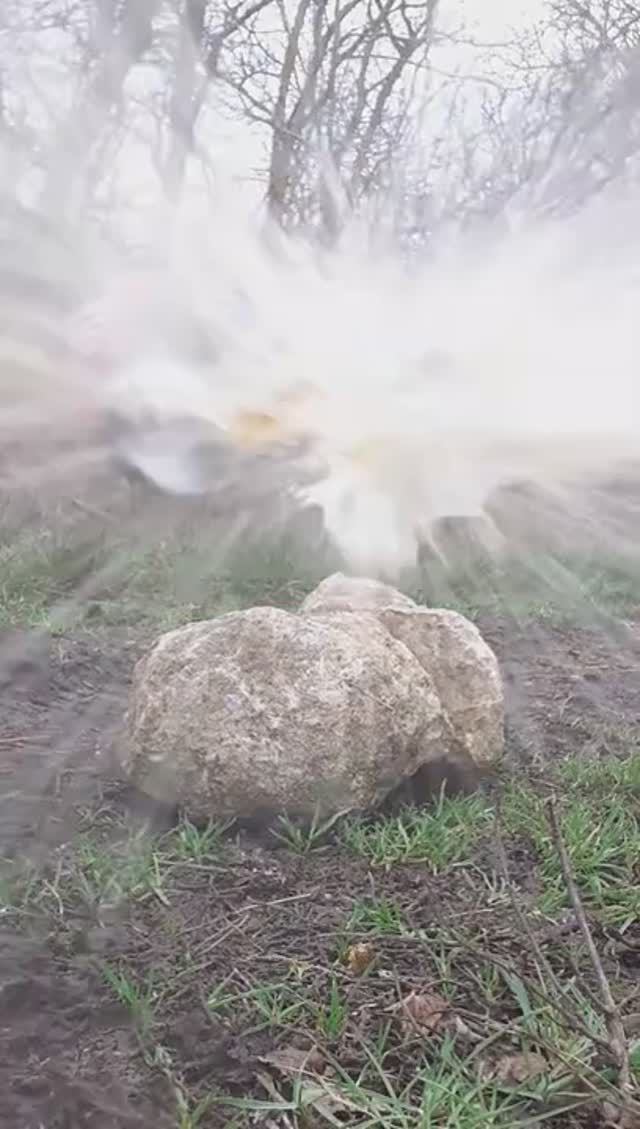 Hatsan Striker Edge пневматическая винтовка  #Shorts