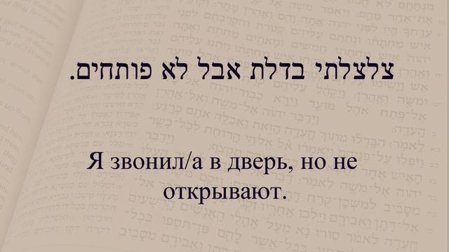 Глаголы в иврите. Глагол 198 "Звонить". Спряжение глаголов в иврите. смотреть онлайн