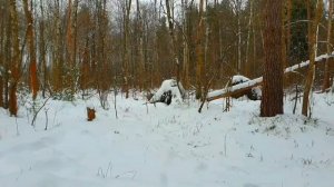 19.?МЕСЯЦ ВЫЖИВАНИЕ В ЛЕСУ ЗИМОЙ В ДИКОЙ ПРИРОДЕ БЕЗ НИЧЕГО _ ДИКИЙ DIY _ ДОБЫВАНИЕ ОГНЯ _ НОЧЕВКА