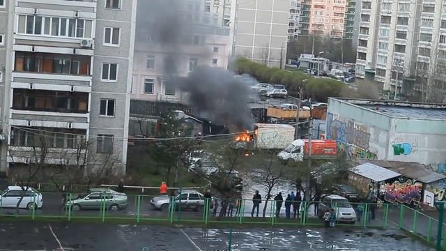 Горит газель на ботанике смотреть онлайн