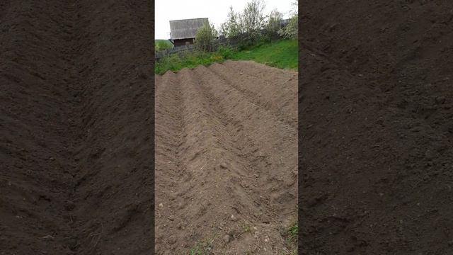 прополка вилами от чертополоха 2023 смотреть онлайн