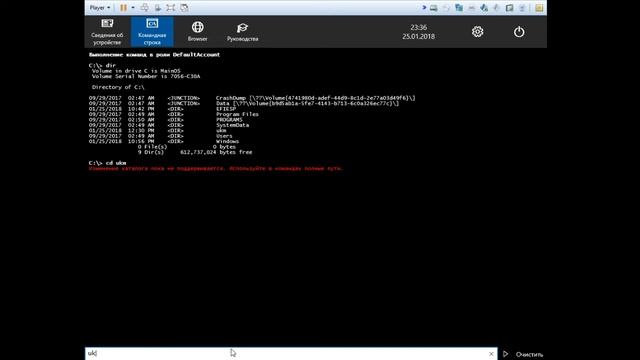 Запуск windows 10 IoT в среде VMware смотреть онлайн