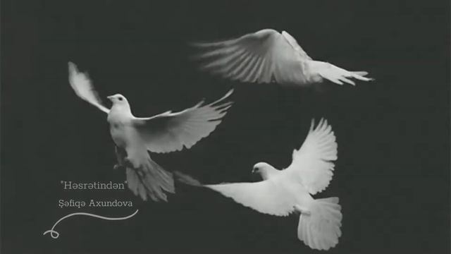 Hesretinden - Sefiqe Axundova смотреть онлайн