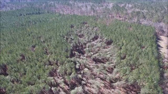 Copiah - Determining start of storm path смотреть онлайн