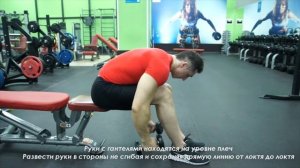 Упражнения. Отведения рук (махи) в наклоне.