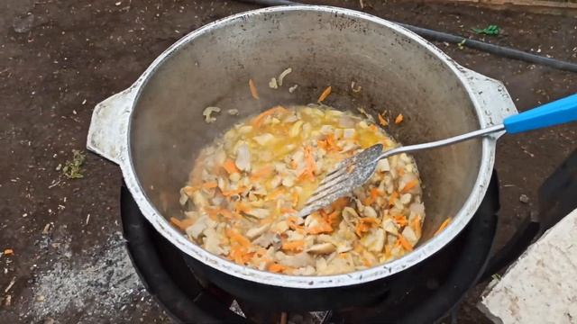 Самая вкусная жаренная картошка с грибами вешенками на костре в казане vsv eda смотреть онлайн