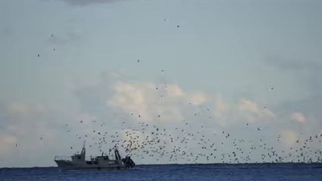 Blue eyes crying in the rain... 'one for Willie' смотреть онлайн