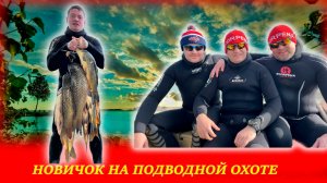 Подводная Охота в Астрахани на Сазана в засидке