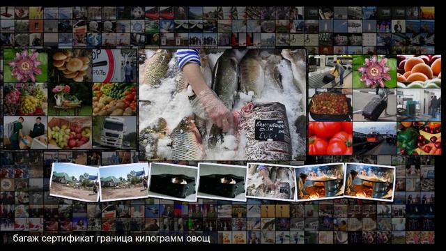Какие законы вступят в силу в августе 2019 года смотреть онлайн