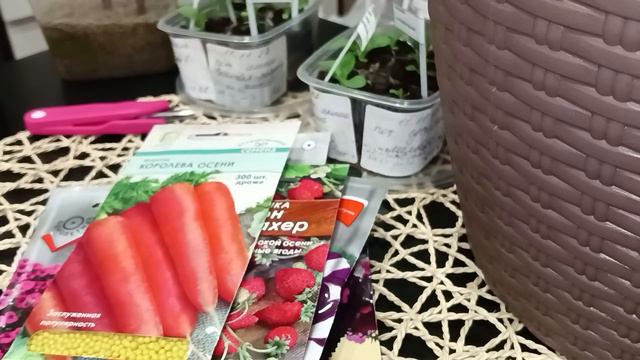 💐и снова семена 🤣. небольшие покупки 👛. обзор рассады 🌺. укоренение гортензии SOS🙏 смотреть онлайн