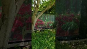 Фотосетка для забора на обычной даче. Сделай своего соседа краше!