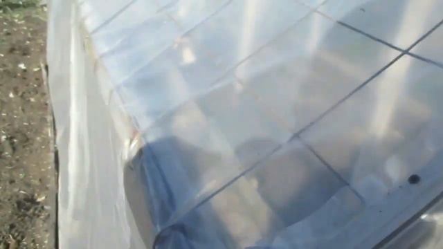 Какой урожай картошки удалось собрать... смотреть онлайн