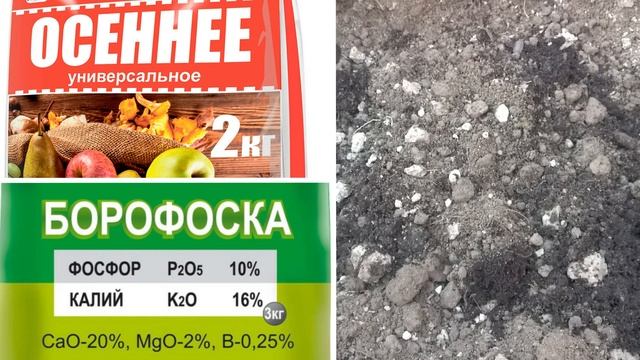 Как восстановить плодородие почвы после сбора урожая. Как улучшить структуру почвы смотреть онлайн