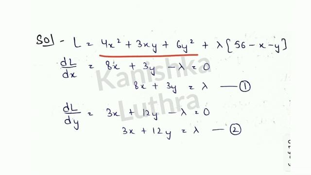 8- Constrained Optimization Problem, Quantitative Methods, MEC-103 | Kanishka Luthra