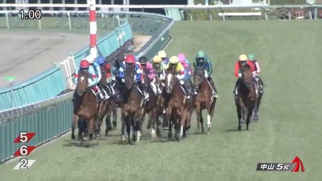 Oxlip (JPN) wins race 5 at Nakayama 12/24/2022 смотреть онлайн