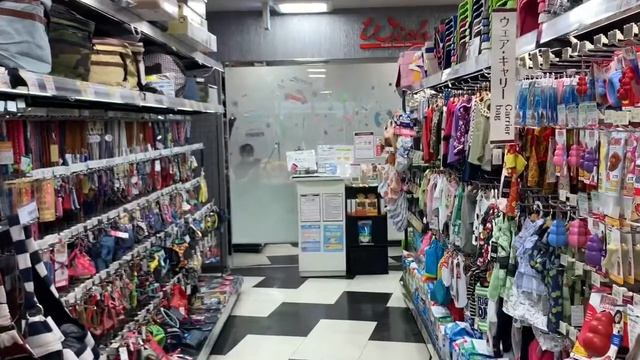 Токио. Жизнь домашних животных. смотреть онлайн