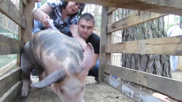 Белгород, ГрильФест-2015 смотреть онлайн