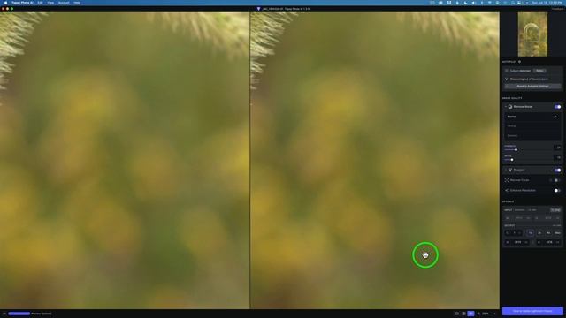 TOPAZ PHOTO AI (New Update Version 1.3.9) смотреть онлайн