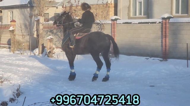 ДУБАЙ смотреть онлайн