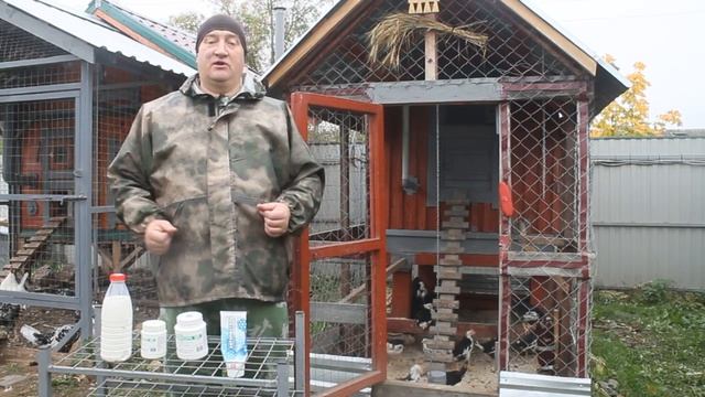 КАК БЫСТРО ПОДНЯТЬ ЦЫПЛЯТ! смотреть онлайн