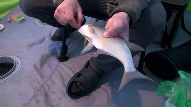 Трудовая рыбалка на леща с ночёвкой на водохранилище. Рыба пришла на корм, но берёт только на черта смотреть онлайн