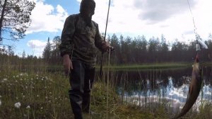 ВЫХОДНЫЕ НА РЫБАЛКЕ в КАРЕЛИИ. Толвоярви 2020.