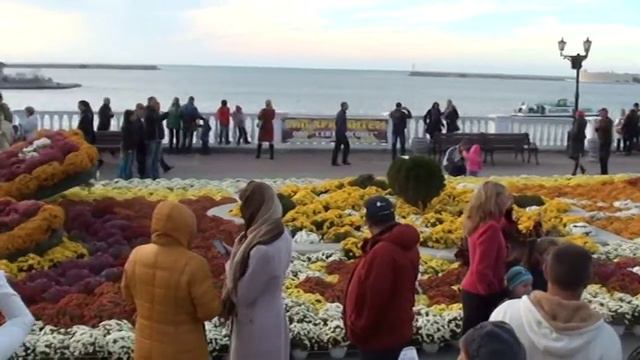 Парад хризантем в Севастополе смотреть онлайн