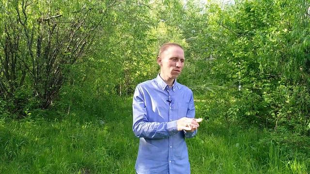 БЛАГОДАРНОСТЬ. Илья Свинцов смотреть онлайн