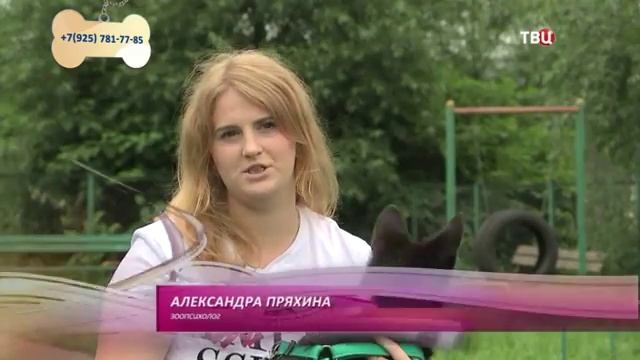 Фиби смотреть онлайн