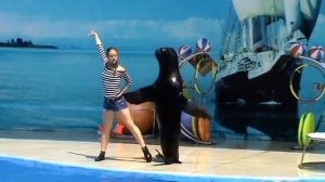 Танго с морским львом!