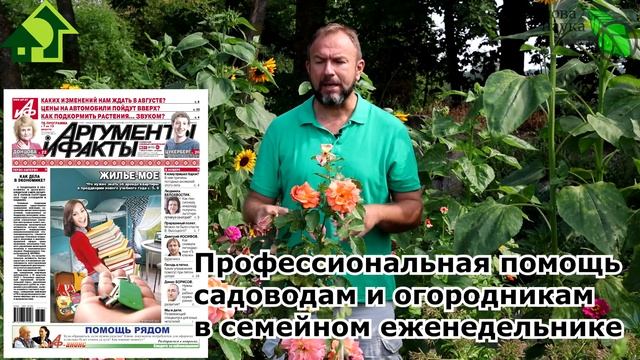 Учим Делать с Осознанностью