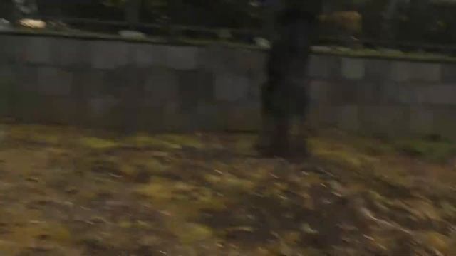 HDC-TM45 test смотреть онлайн