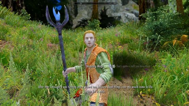 Skyrim - Aspiring Mage - Rare Random Encounter смотреть онлайн